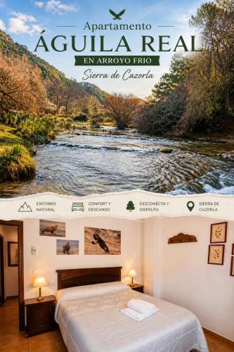 Arroyo Frio Apartment | Águila Real
