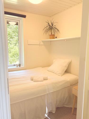 Gedsted House | Ålevænget 1