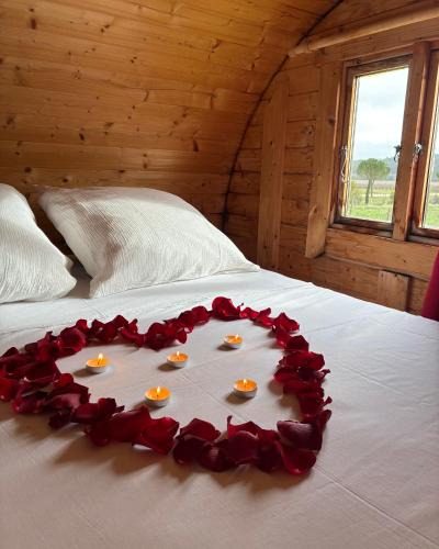 Pennautier Other | Échappée Vigneronne