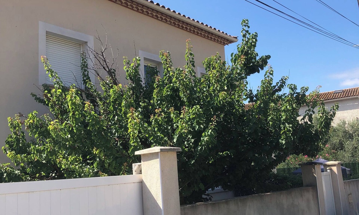 Saint-Jean-de-Vedas Villa | Étage Dune Villa T4 Avec Jardin