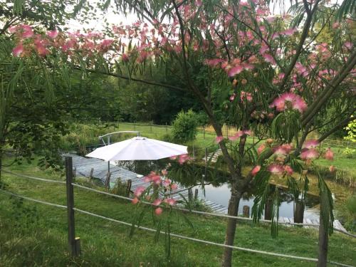 Saint Usuge Bed & Breakfast | Ô Saveur de l’Instant