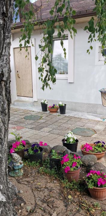 Kurortny District Apartment | Апартаменты в Песочном