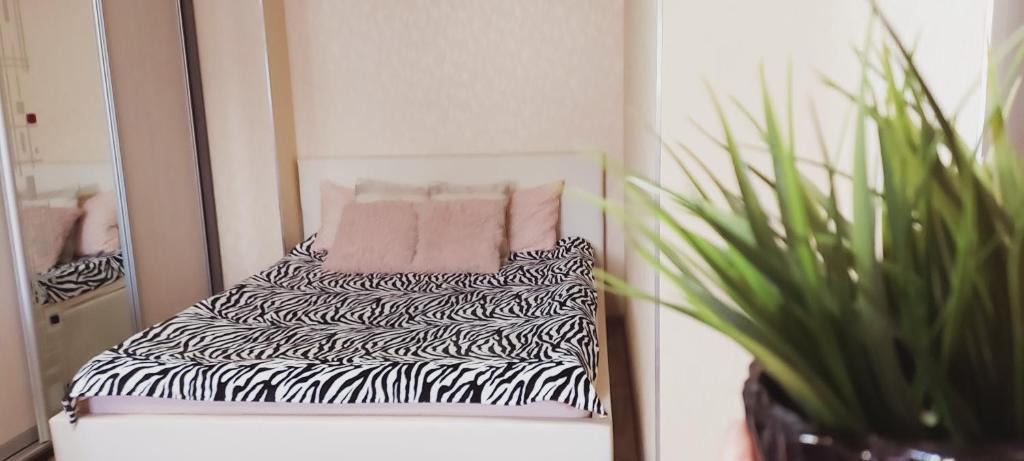 Samara Apartment | Квартира у ''MIAGKOFF''