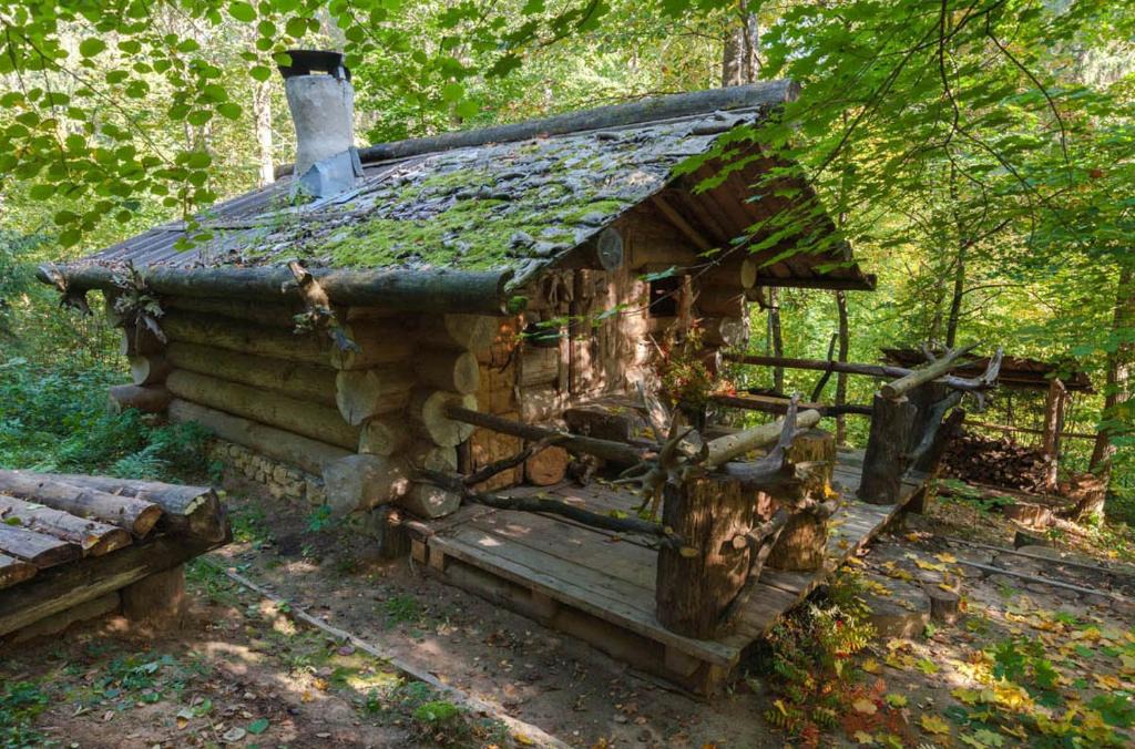 Zvenigorod House | Таёжный глэмпинг