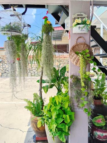 Kluang House | 阳台民宿 16 Terrace