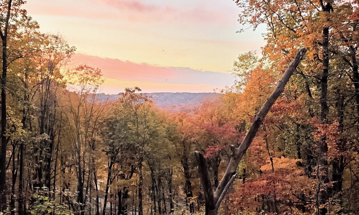 Nashville House | 1 bdrm Modern Oasis near everything.