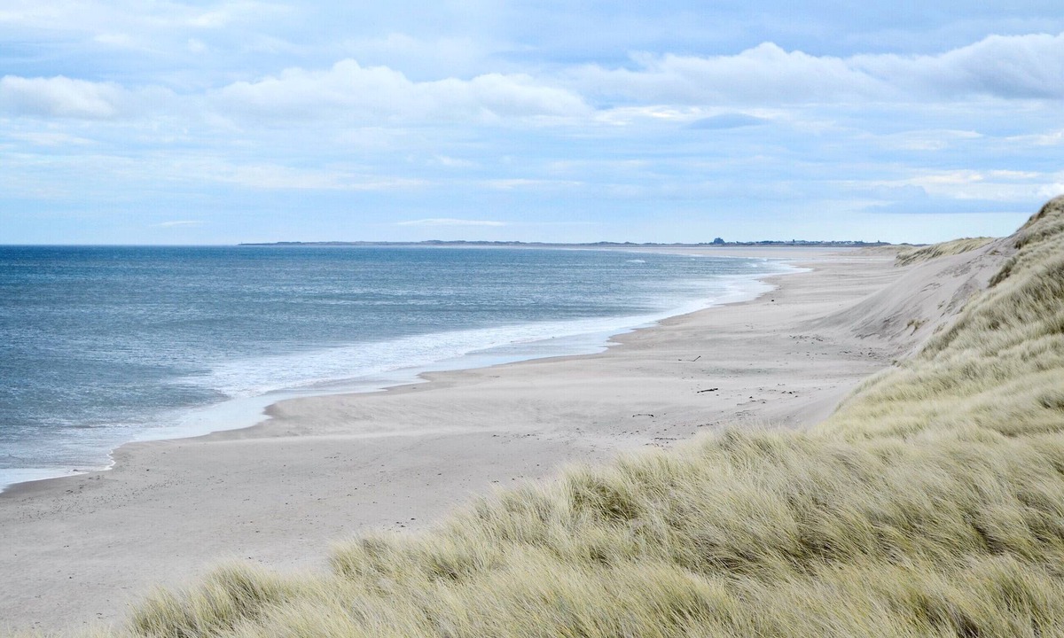 Horncliffe Cottage | 1 bedroom accommodation in Horncliffe