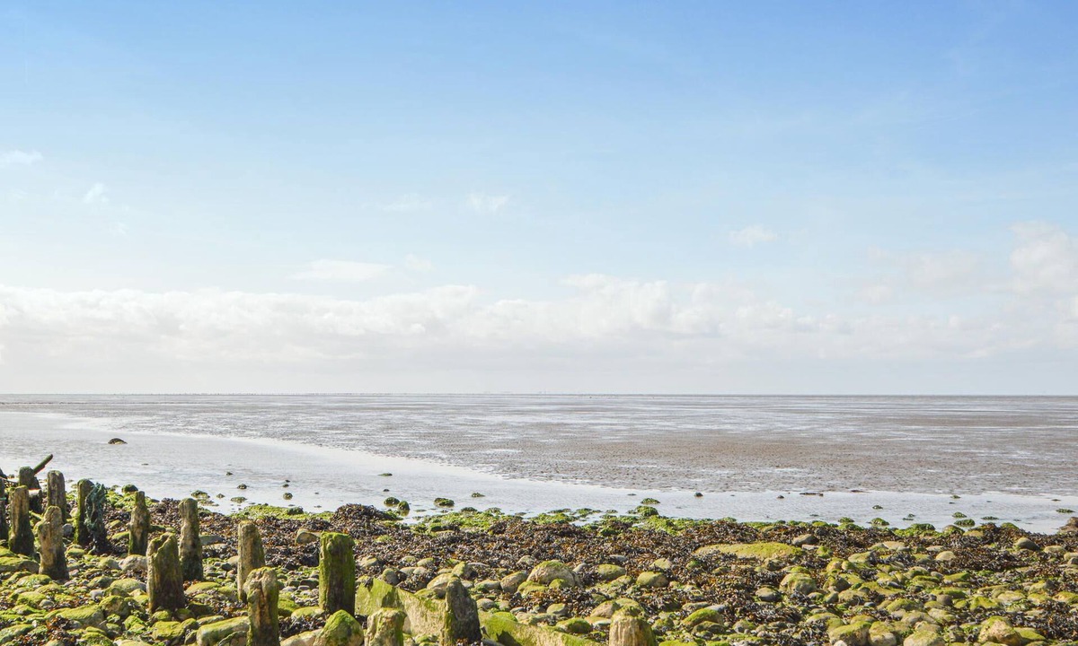 Emmerlev Apartment | 1 bedroom accommodation in Højer