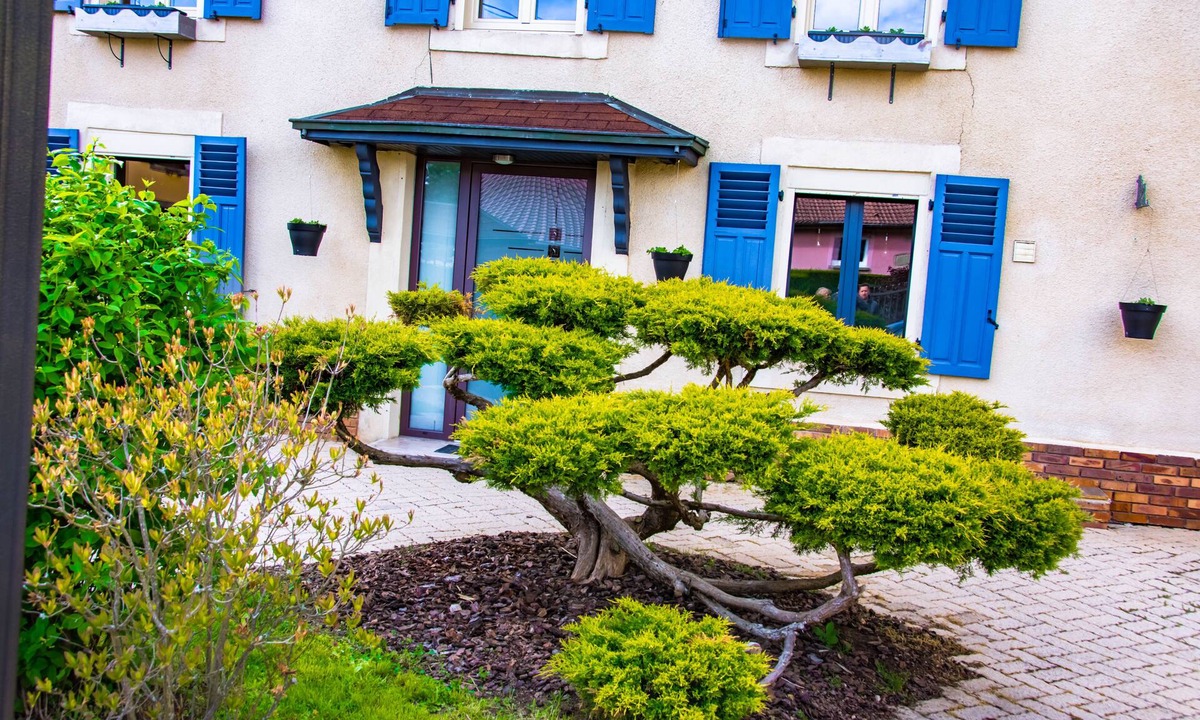 La Baffe Bed & Breakfast | 1 Bedroom Bed & Breakfast In La Baffe