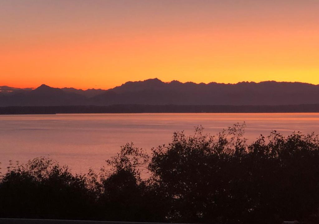 North Beach/Blue Ridge Apartment | 1-Bedroom Seaview Guesthouse on Seattle Luxury Estate with Views of Olympic Mountains