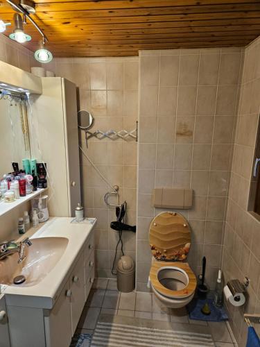 Vernayaz House | 1 chambre jaune dans une maison privé