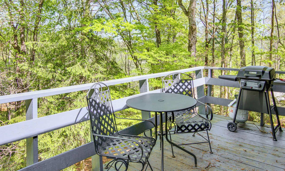 Pisgah Forest House | 1 Mi to Pisgah Nat’l Forest: Wooded Haven w/Deck