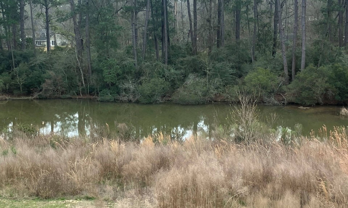 Keenan House | 1 or 2 big bedrooms& 1 bathroom available upstairs. With garage & lake access.