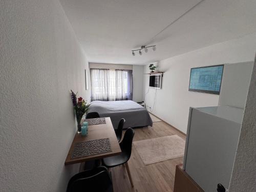 Sandrain Apartment | 1-Zimmer Wohnung Marzili Bern