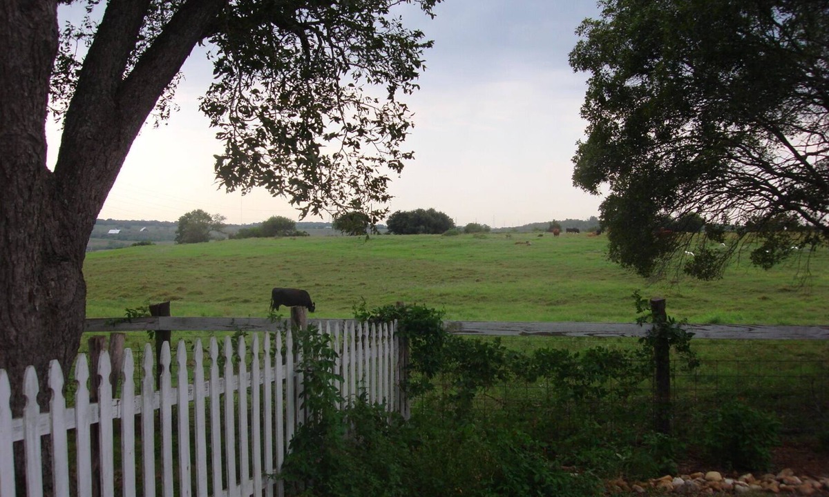 Kingsbury House | 10 Minutes to San Marcos, New Braunfels or Seguin - Family and pet friendly