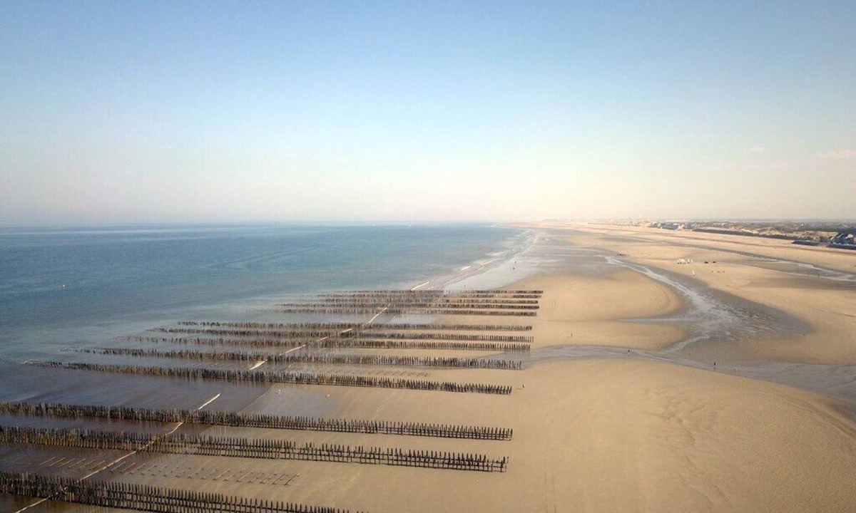 Quend-Plage-les-Pins House | 100m de la Plage - Gîte Sealencieux : Baba et Tata