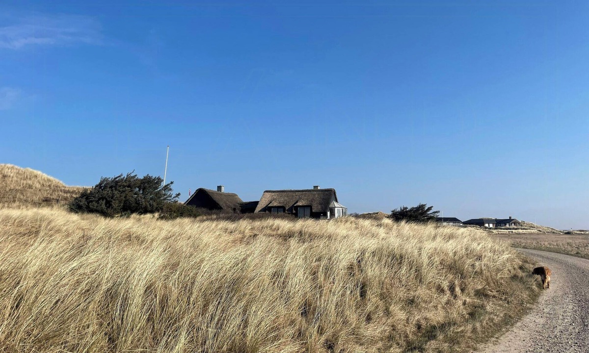 Houvig House | 13,000 sqm nature plot right down to the beach