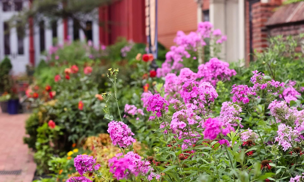Downtown Baltimore Bed & Breakfast | 1840s Carrollton Inn