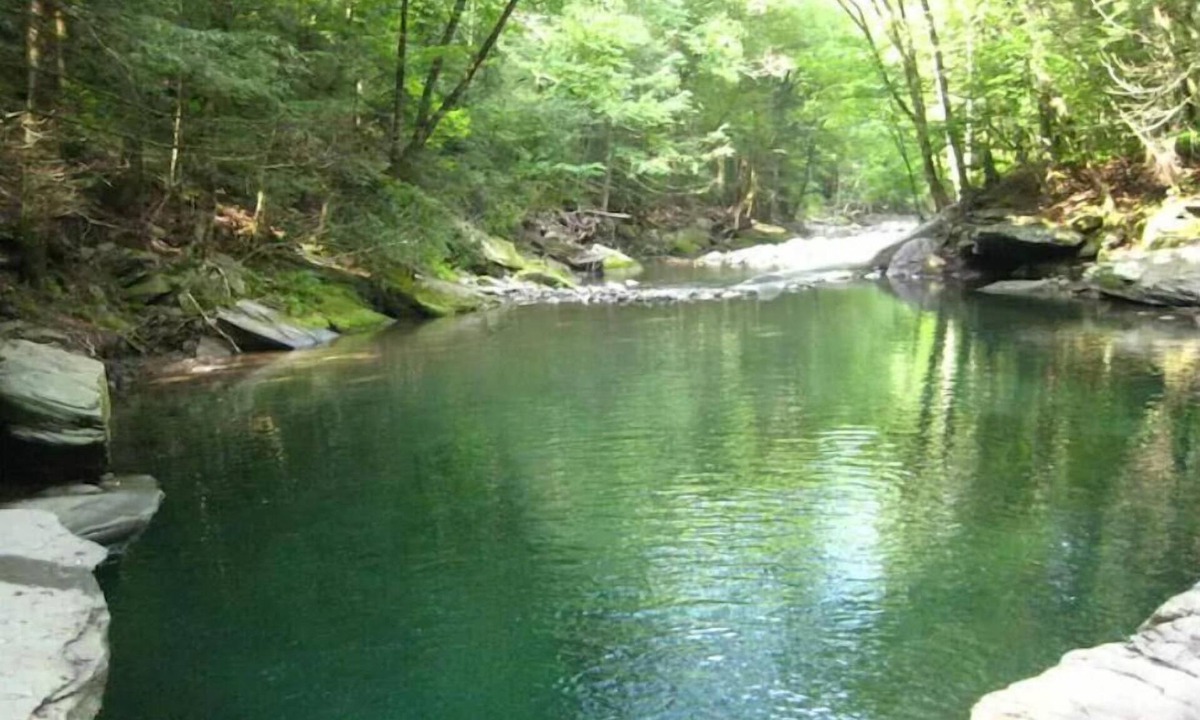 West Shokan House | 1850 Carriage House, Creek