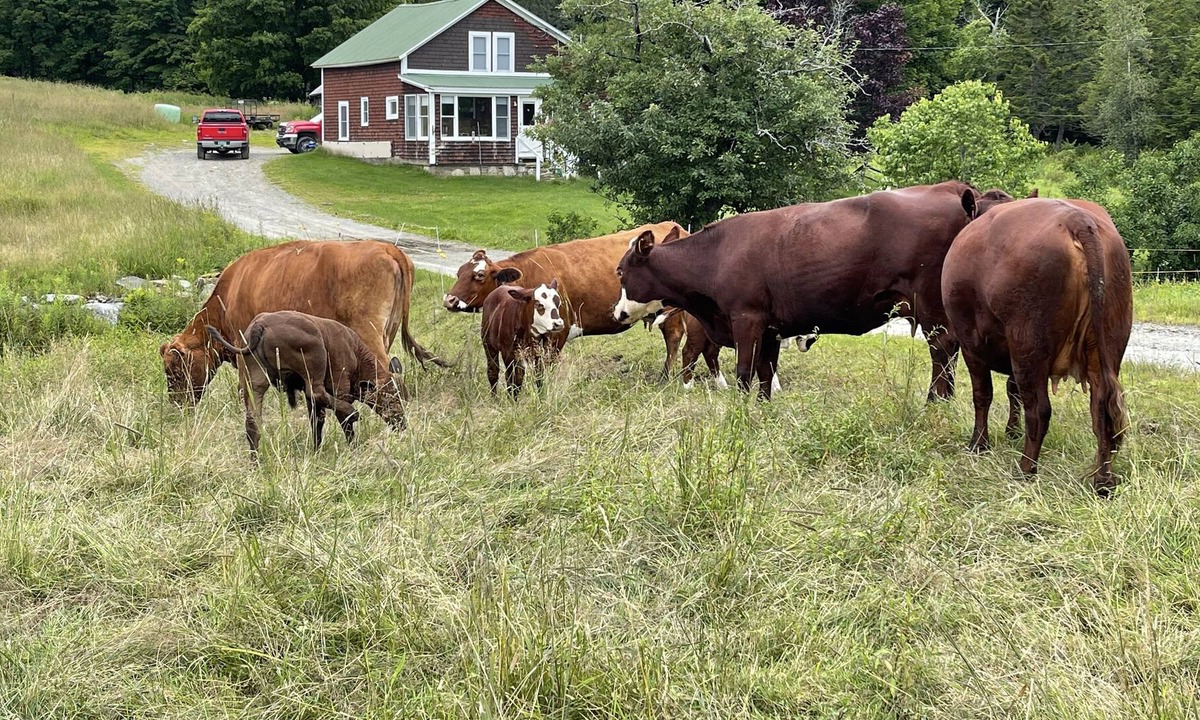 Jacksonville Other | 1920’s Rustic Farmhouse