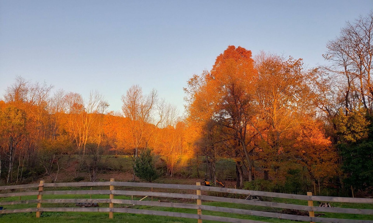 Port Crane Apartment | 1st floor Farmhouse Apartment at Osborne Creek!