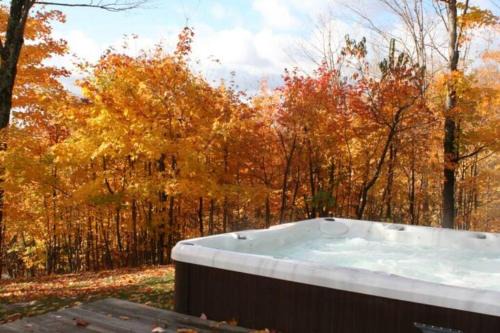 Domaine Nansen Apartment | 2 bdrm Tremblant Haven-pets & spa-walk/ski to hill