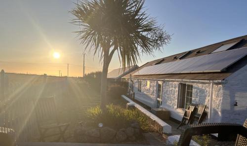 Sennen House | 2 Bed in Sennen oc-flora