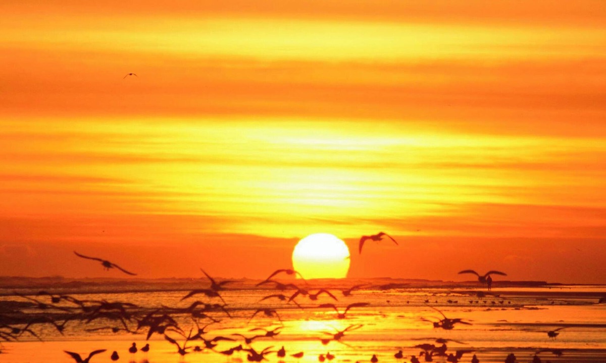 Tweedmouth Cottage | 2 bedroom accommodation in Berwick-Upon-Tweed