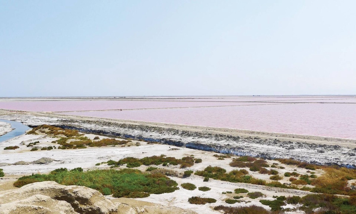 Le Sambuc House | 2 bedroom accommodation in Le Sambuc