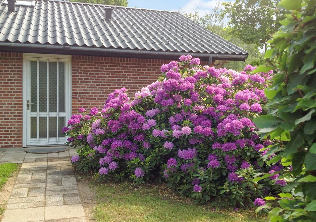 Rrvig Apartment | 2 bedroom accommodation in Rørvig