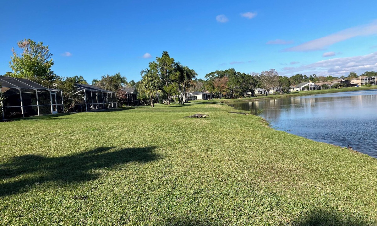 Deep Creek Condo | 2-bedroom condo in beautiful Punta Gorda with cool AC