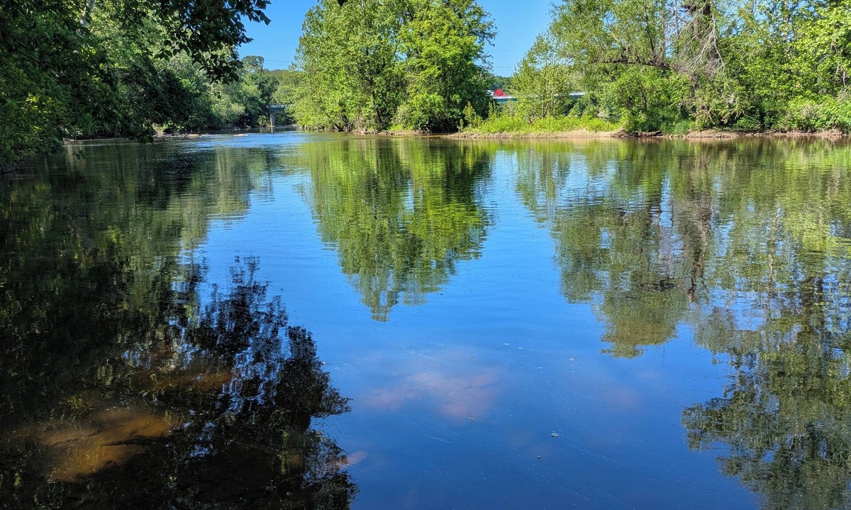 Gladstone House | 2-bedroom escape on James River w/river access and canoe near James River Park