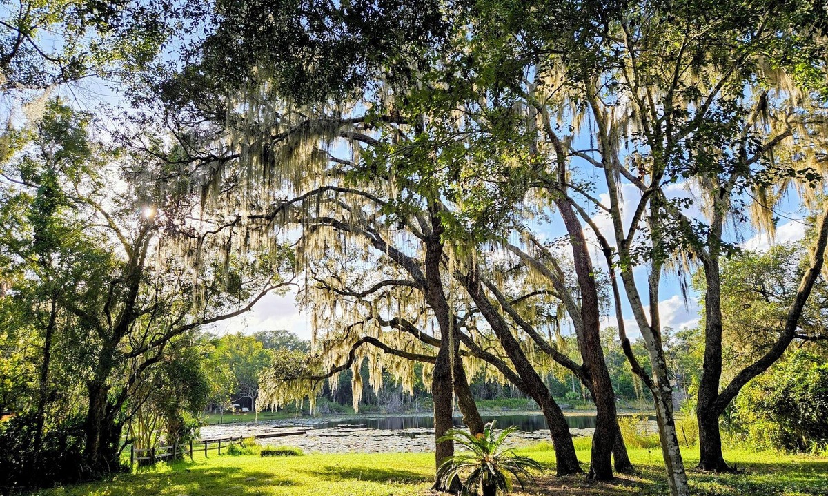 Lake Helen House | 2-bedroom house in beautiful Lake Helen with air conditioning