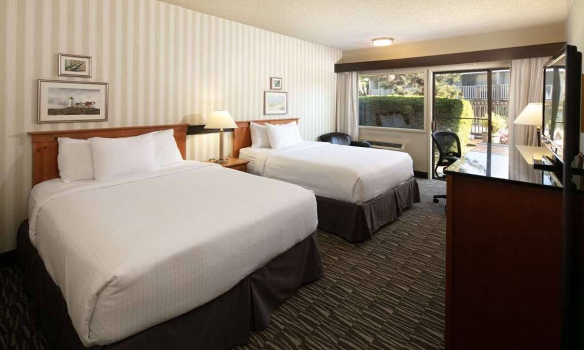 West Bellevue Hotel | 2 Comfortable Units! A quick drive away from Downtown Bellevue! Pets Allowed!