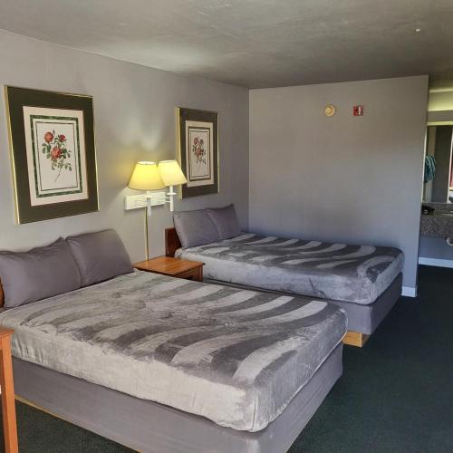 Livingston Apartment | 2 Double Bed Private Room 130