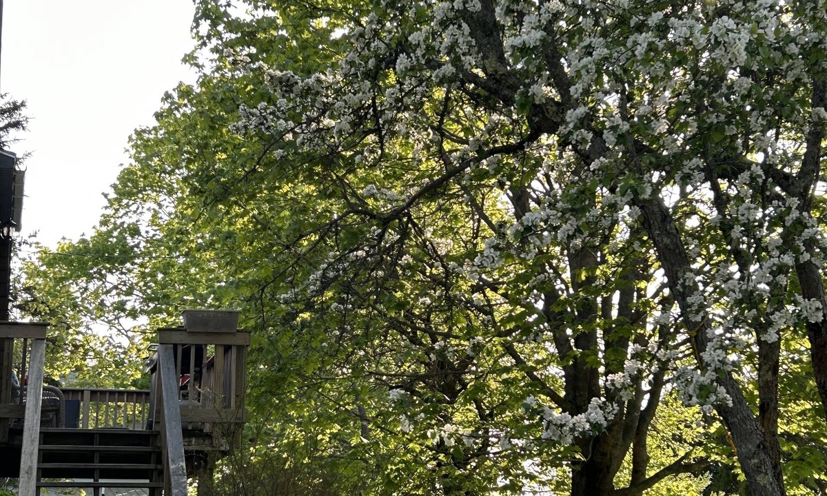 Bass Harbor House | 2 Houses Side by Side, Sleeps 16