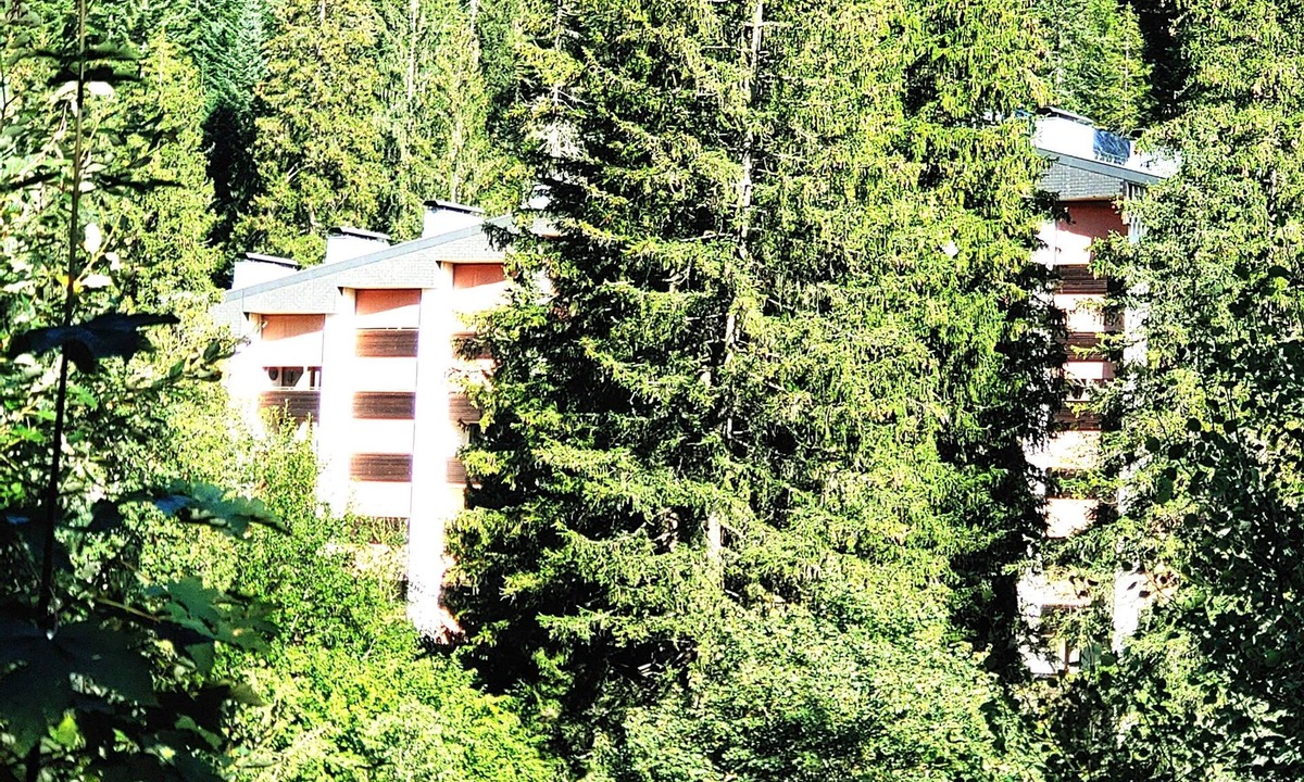 Laax Apartment | 2-room holiday flat with swimming pool and sauna
