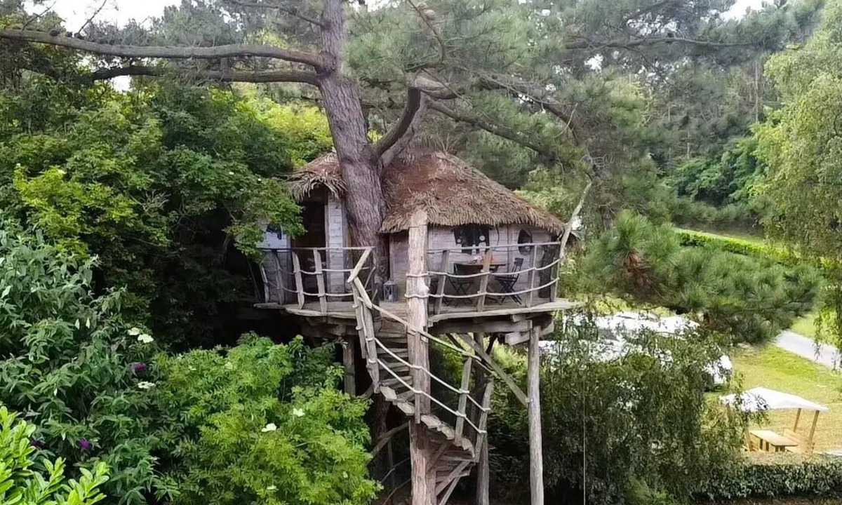 Plouezec Cabin | 2-room treehouse for 2–4 people