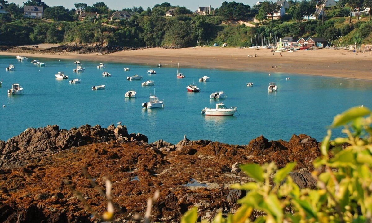 Cancale Apartment | 200m from the beach : Cancale - apartment 2/3 pers - terrace and sea view