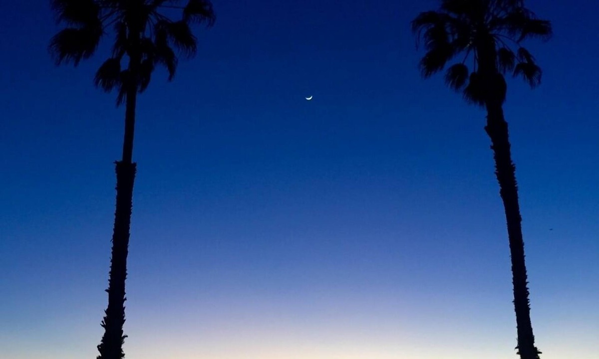 Townsite Condo | 210A Marina Del Mar - Beach View