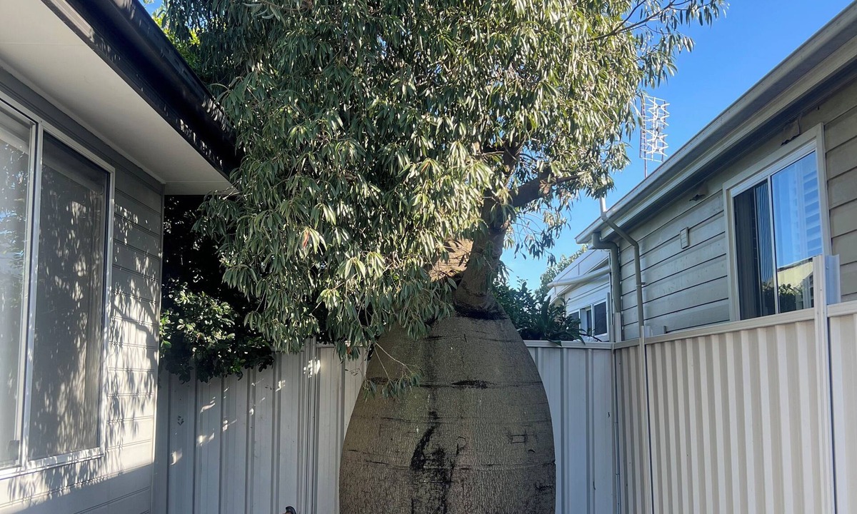 Mayfield Cottage | 21A Boab Cottage