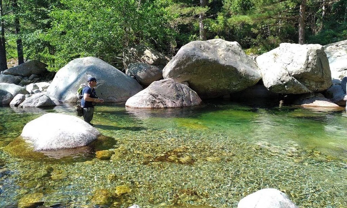 Ucciani Bed & Breakfast | 25mn Ajaccio/beaches 2mn river. Linen parking