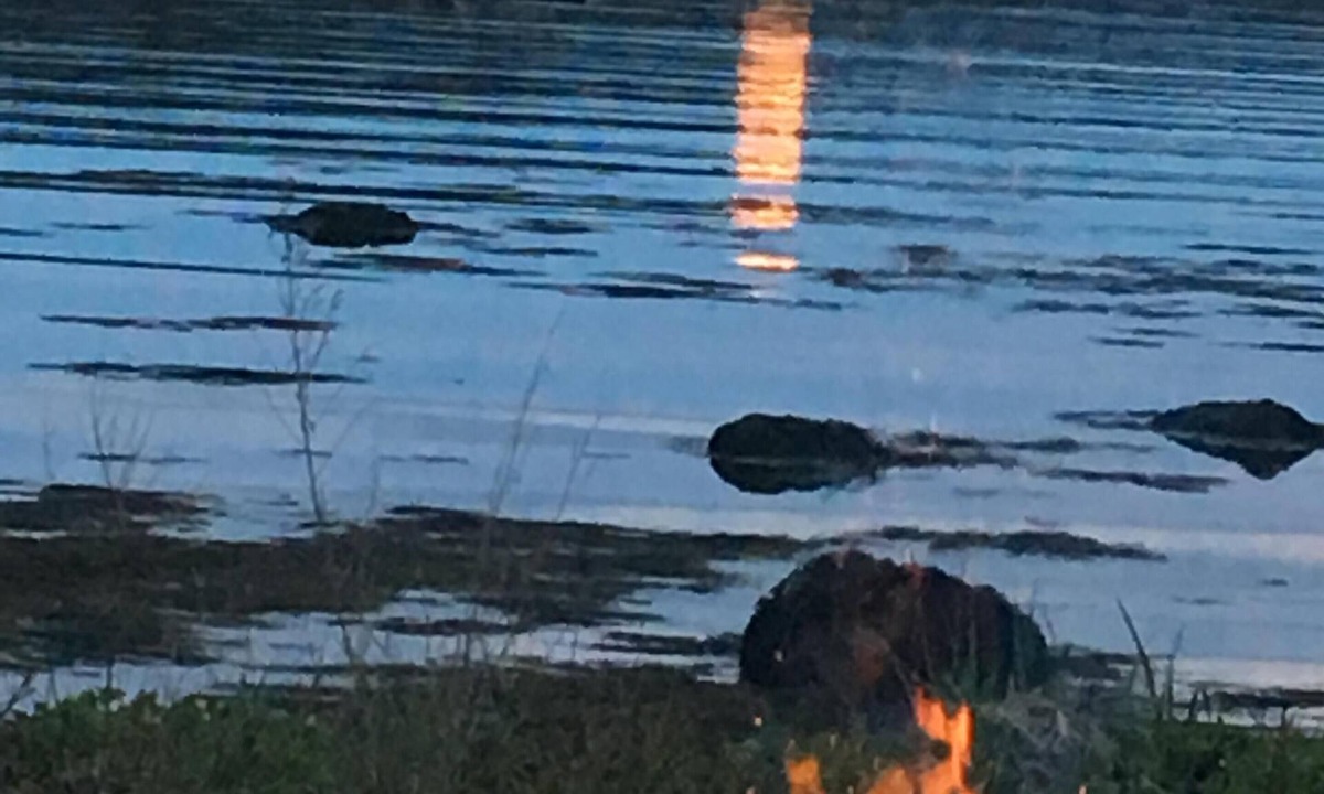 Steuben Cottage | 2bd, on Pigeon Hill Bay, fire pit, star lit sky, AC in loft, quiet