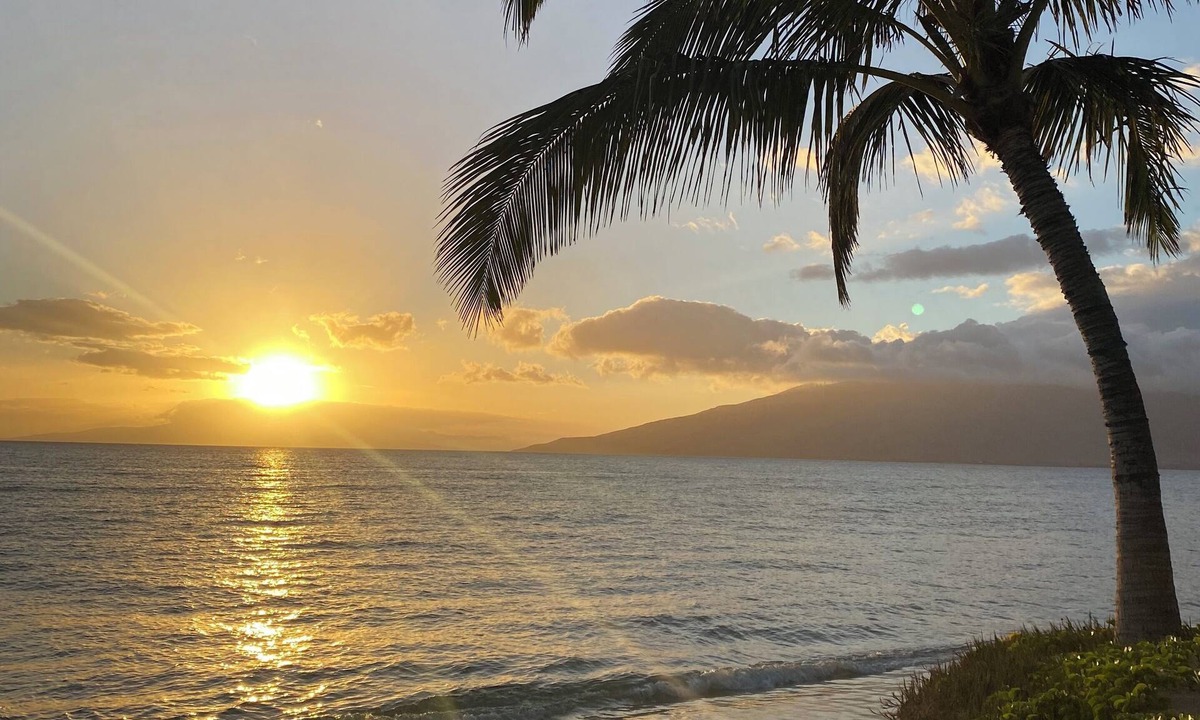 Kihei Apartment | 2BR/1BA BEACHFRONT - GREAT LOCATION- EXCEPTIONAL REVIEWS