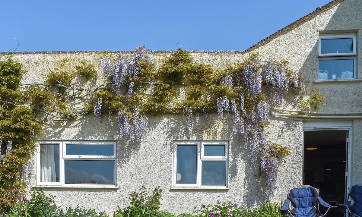 Fiddington Cottage | 3 bedroom accommodation in West Quantoxhead