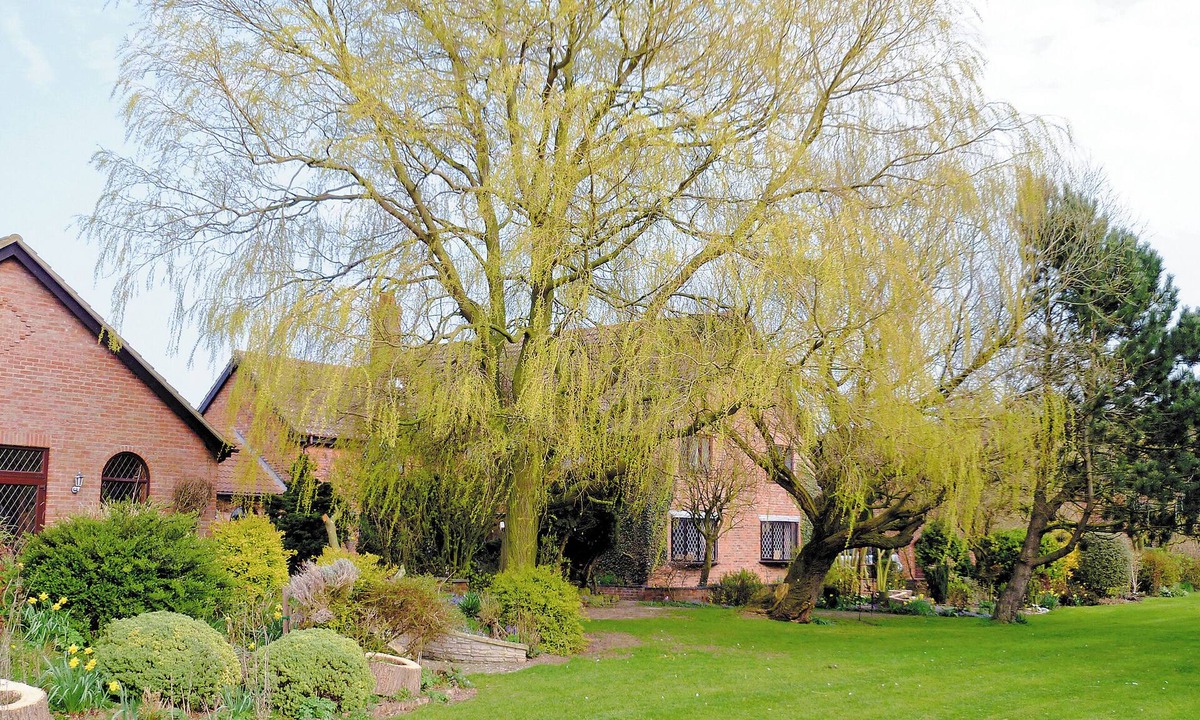 Skegness Cottage | 3 bedroom accommodation in Addlethorpe