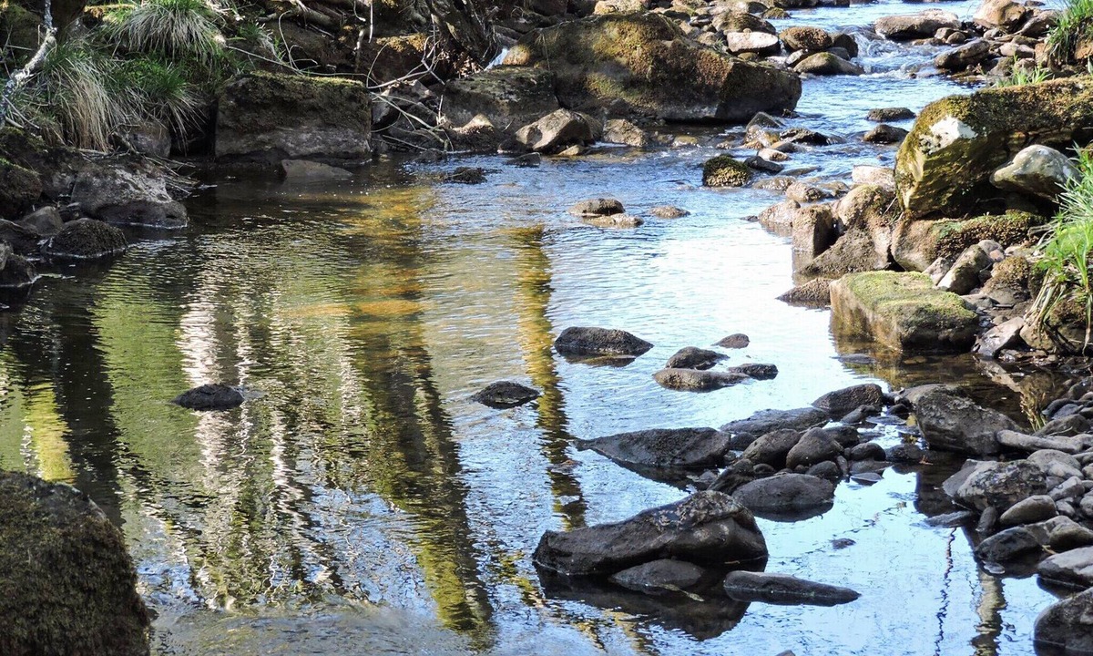 Hartoft Cottage | 3 bedroom accommodation in Hartoft, near Pickering