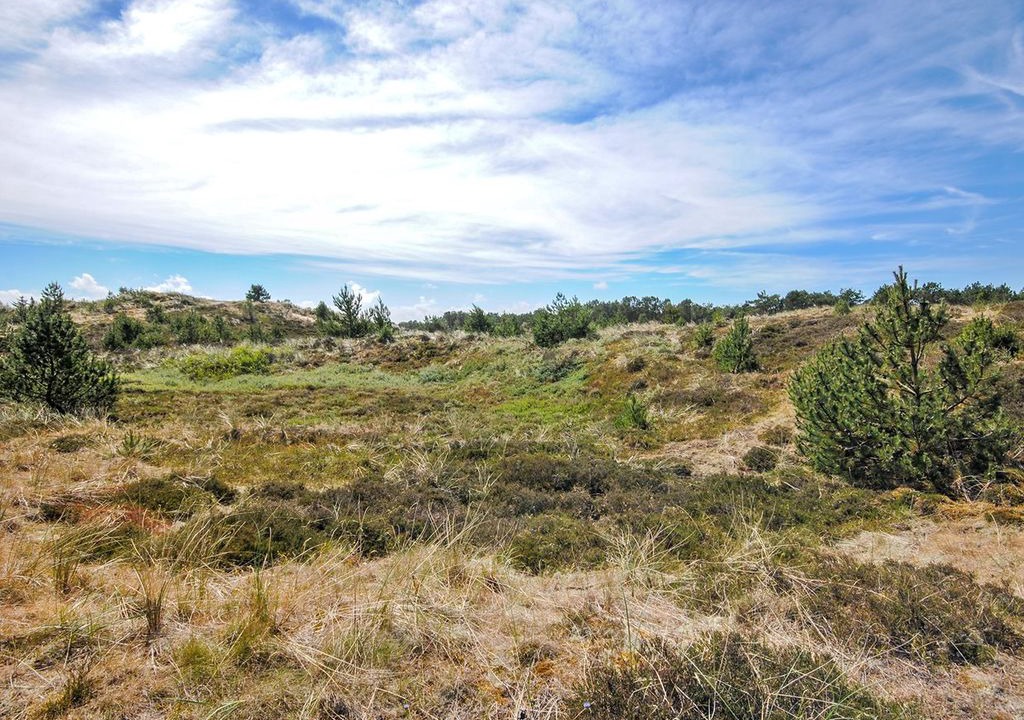 Sønder Vorupør House | 3 bedroom accommodation in Thisted