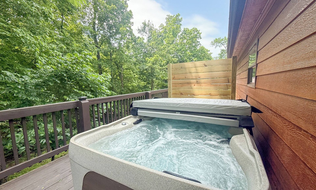 Cobden House | 3 Bedroom and 4 Bath Cabin with Hot Tub and Huge Deck - Next Door to Winery