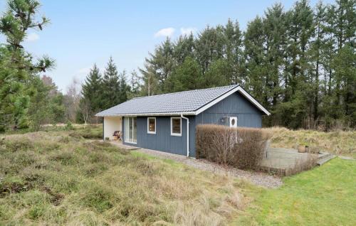Lodbjerg Hede House | 3 Bedroom Awesome Home In Ringkøbing